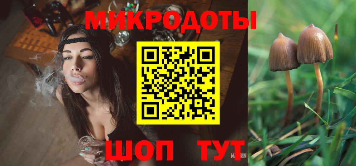 Галлюциногенные грибы Psilocybine cubensis Лангепас